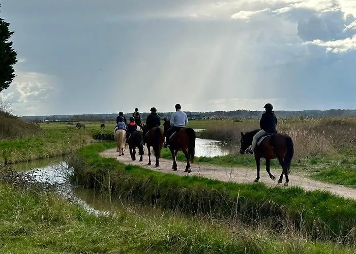 5 Personnes California Park * Cabourg