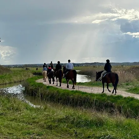 5 Personnes California Park * Cabourg